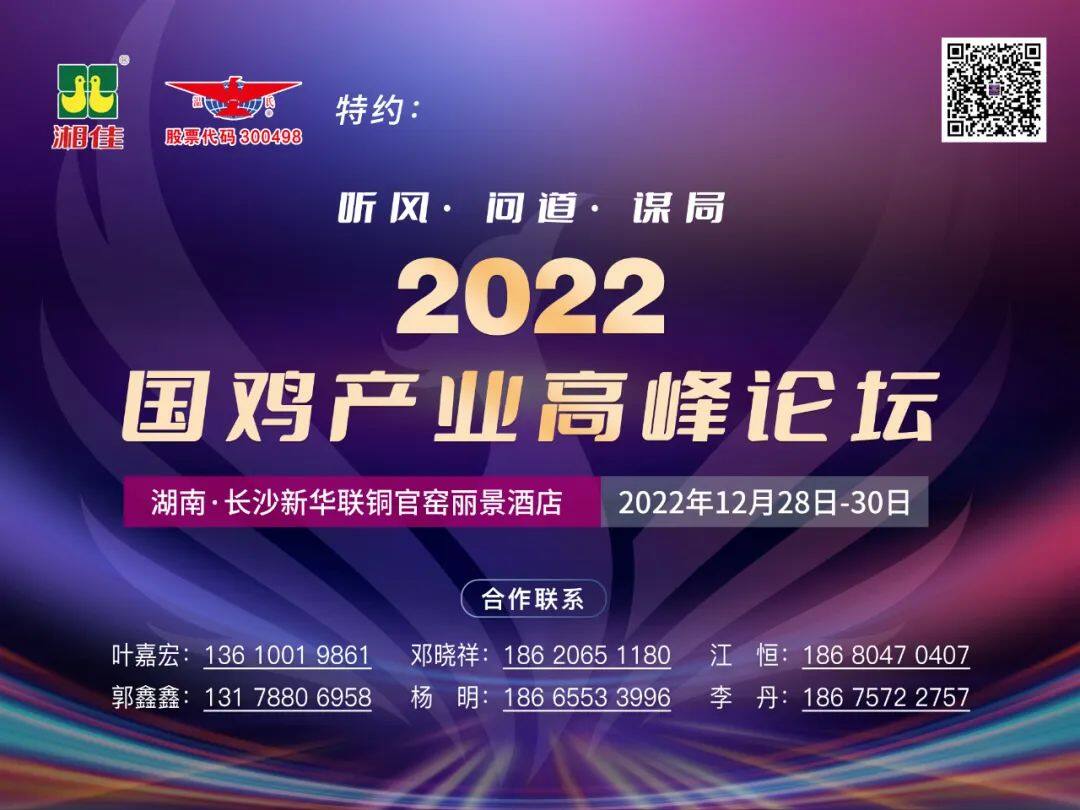 今年最后一场行业大会！期待与您“湘”约2022国鸡产业高峰论坛，共赴未来