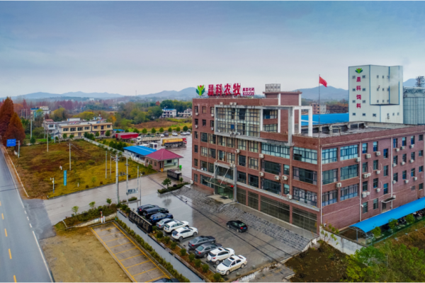 花3.78亿元租赁近200万规模蛋鸡场，这家蛋企2022年蛋鸡存栏已超700万只