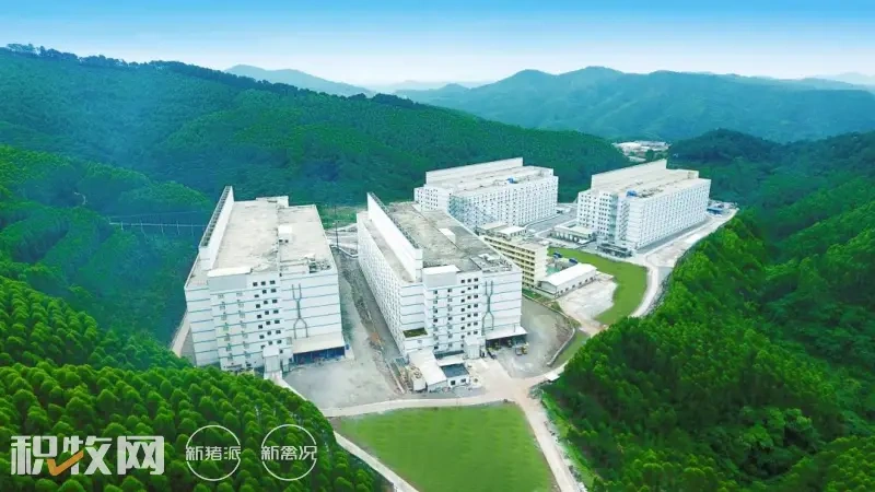 大学生一待就是十年,现代猪场的“诱惑”有多大?
