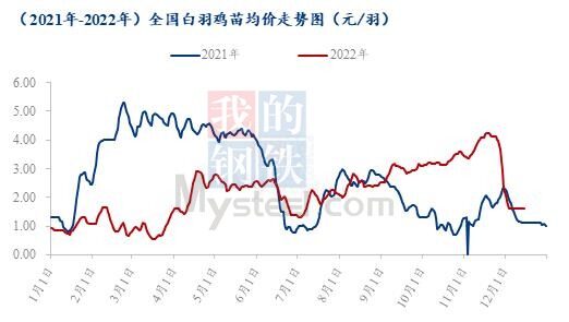 感染高峰将至！屠宰场严重缺人，85%物流瘫痪，警惕毛鸡压栏恐慌抛售【禽听要闻】