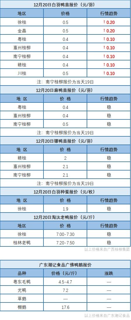 12月19日 福建肉鴨價格下調，廣東等地肉鴨價格穩定【水禽價格指數】