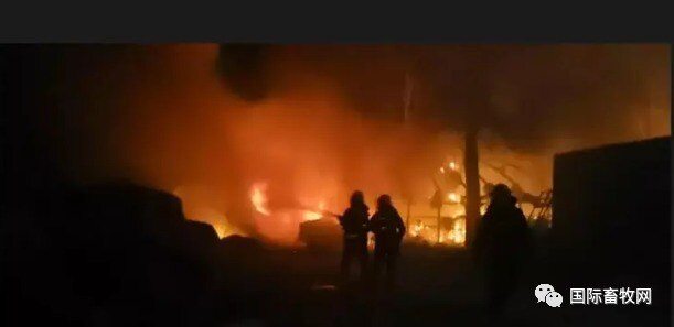 6万只蛋鸡全部葬身火海! 近两年我国养殖场发生火灾事件频繁发生