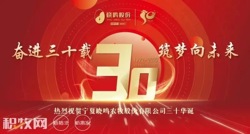 晓鸣股份喜获“2022上市公司董办最佳实践”奖
