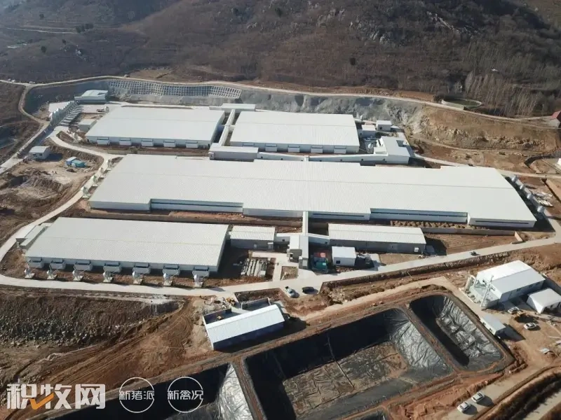 年出栏14.4万头!城投农业边院祖代母猪现代化养殖场建成投产!