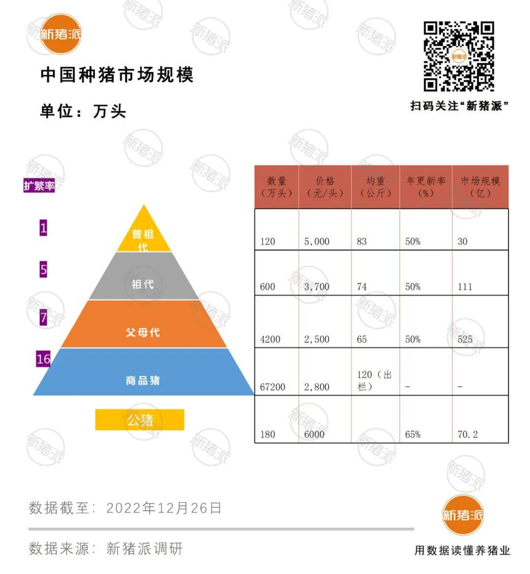 3522头！2022年我国进口种猪量近年来新低，700多亿的种猪市场该如何演绎？