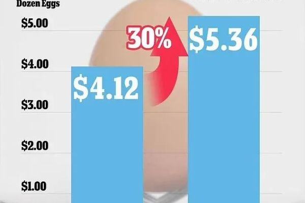 美国最大鸡蛋生产商季度销售创纪录！迄今扑杀的5800万只禽鸟中超4300万只为蛋禽