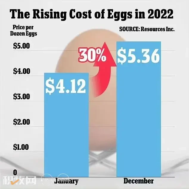 美国最大鸡蛋生产商季度销售创纪录！迄今扑杀的5800万只禽鸟中超4300万只为蛋禽