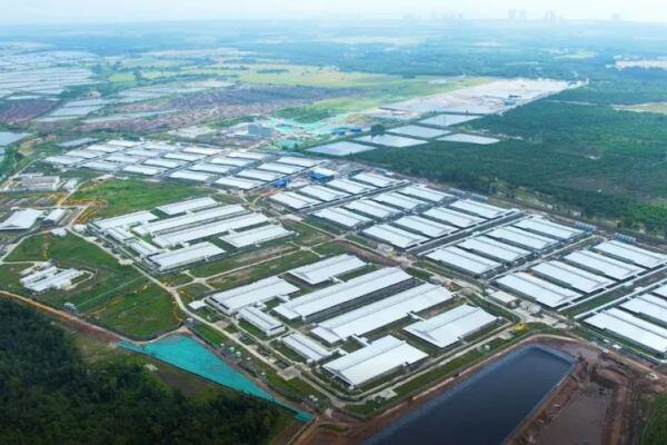 京基智农投资10亿元生猪项目落户文昌，打造一流生态养殖样板