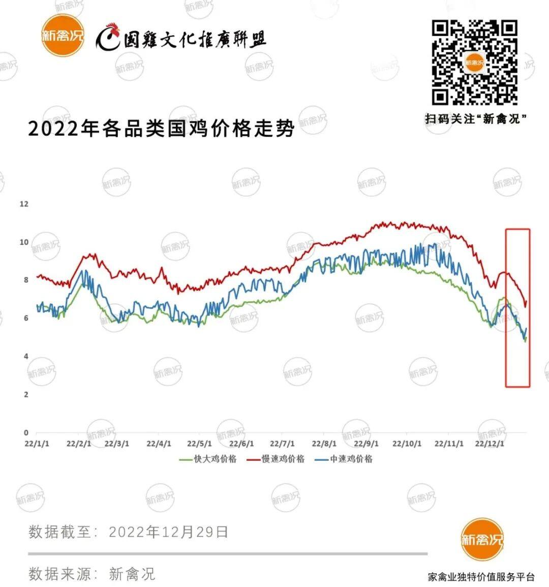 感染高峰“碰瓷”年底旺季，鸡价掉至冰点、销量反降50%？行业人士：拐点或在3月出现