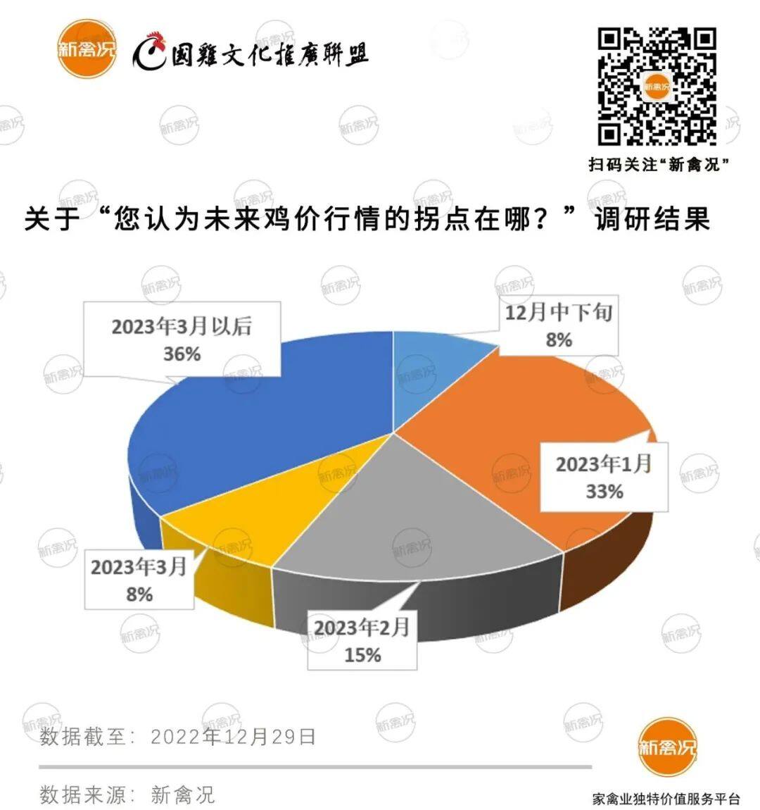 感染高峰“碰瓷”年底旺季，鸡价掉至冰点、销量反降50%？行业人士：拐点或在3月出现