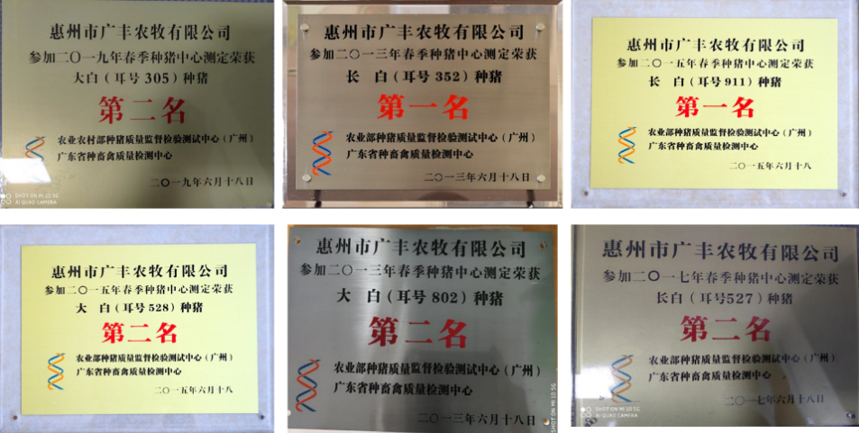 满产存栏4400头！广丰农牧强势打造健康种猪，集团百万头出栏目标未来可期|硕腾特约·2023健康种猪中国行