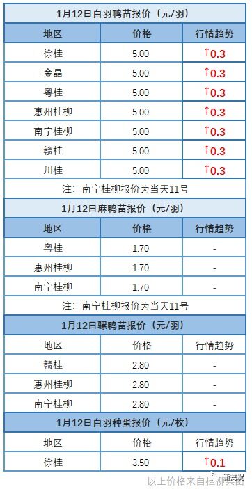 1月11日 广东、福建、浙江地区肉鸭价格稳定【水禽价格指数】