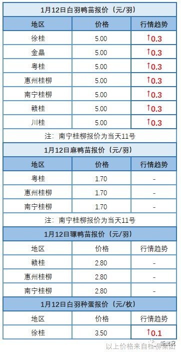 1月11日 广东、福建、浙江地区肉鸭价格稳定【水禽价格指数】