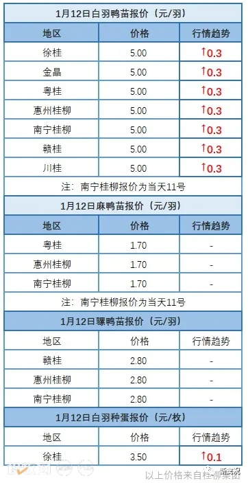 1月11日 广东、福建、浙江地区肉鸭价格稳定【水禽价格指数】