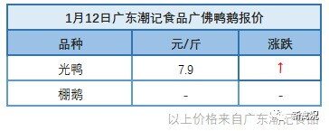 1月11日 广东、福建、浙江地区肉鸭价格稳定【水禽价格指数】