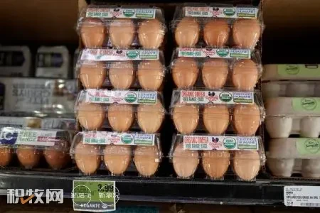 顶不住蛋价暴涨，在美华人直奔养鸡场购买母鸡和便宜鸡蛋