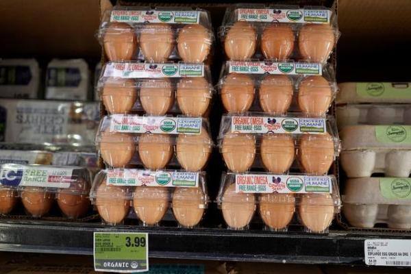 顶不住蛋价暴涨，在美华人直奔养鸡场购买母鸡和便宜鸡蛋