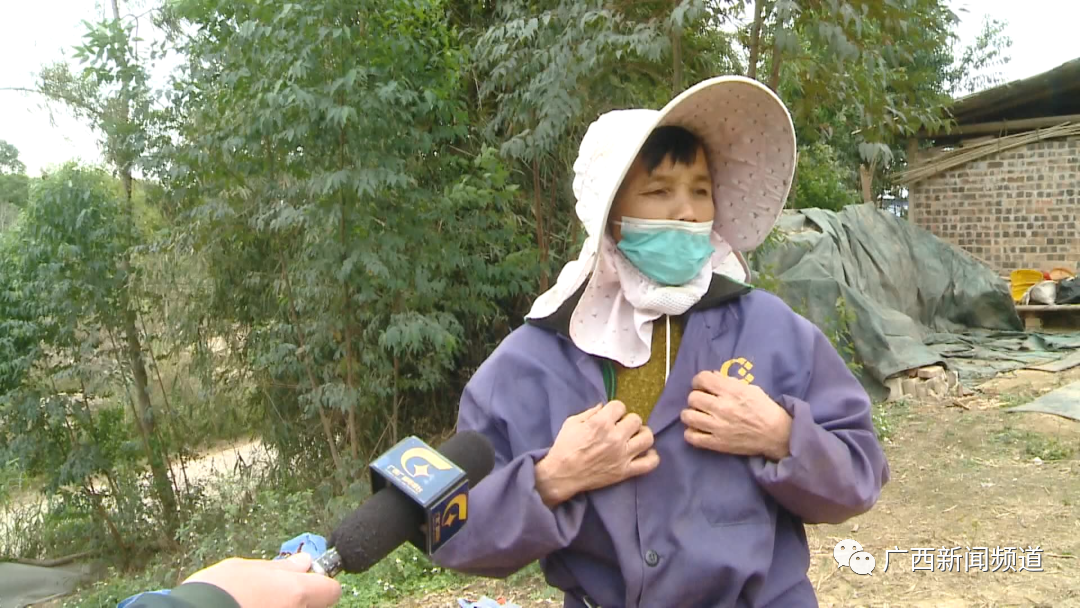 上千只鸡突然死亡，疑似燃放烟花导致！养户上门协商却被告知不会赔偿...