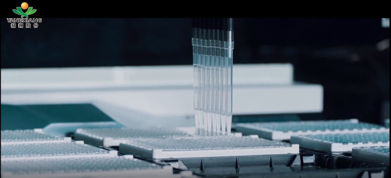 大揭晓!六个汉字为扬翔发展亮点“画像”