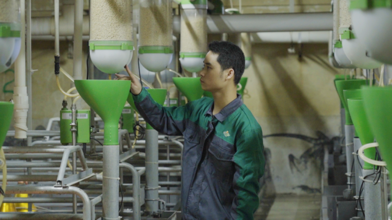 大揭晓!六个汉字为扬翔发展亮点“画像”