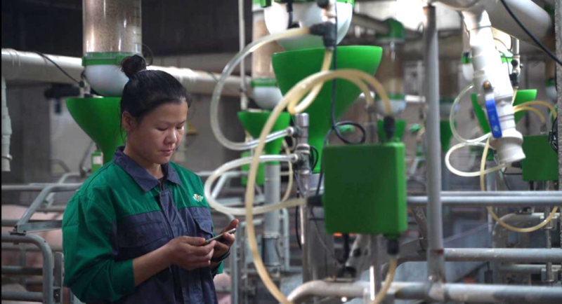 大揭晓!六个汉字为扬翔发展亮点“画像”