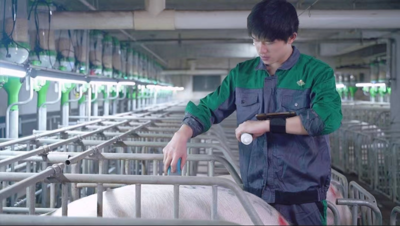 大揭晓!六个汉字为扬翔发展亮点“画像”