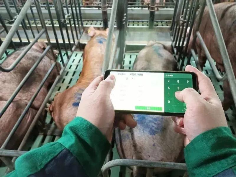 大揭晓!六个汉字为扬翔发展亮点“画像”