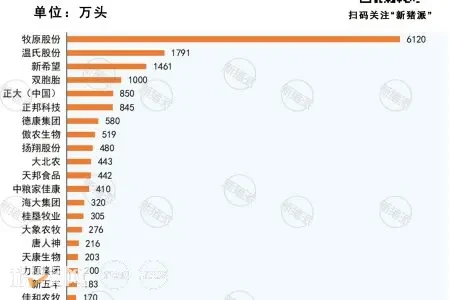 TOP20猪企出栏排行榜：牧原6120万头“霸榜”，正大、桂垦翻倍，正邦暴跌43%