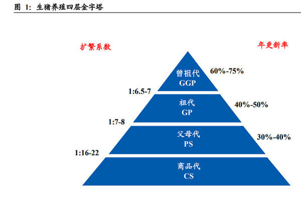 东北证券：生猪养殖行业研究：一文读懂养猪业，周期再认知