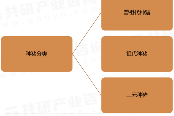2022年中国种猪存栏量及细分品种市场现状