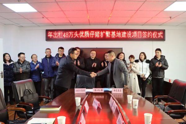 年出栏48万头，神农集团沾益区优质仔猪扩繁基地建设项目正式签订