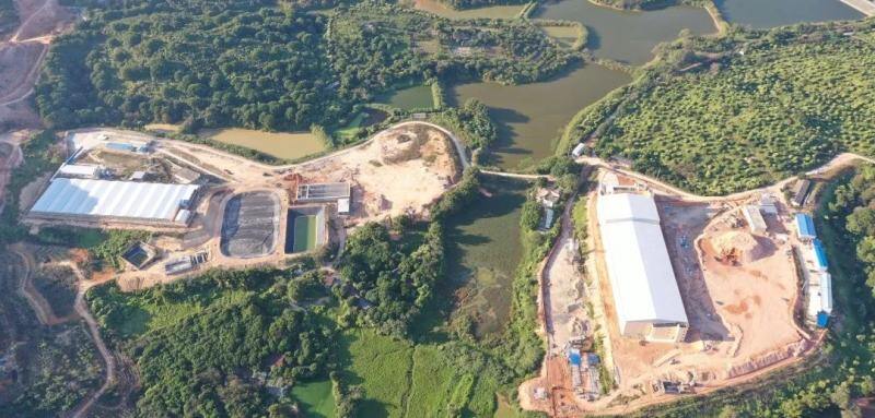 巨星农牧引进达南托佩克种猪