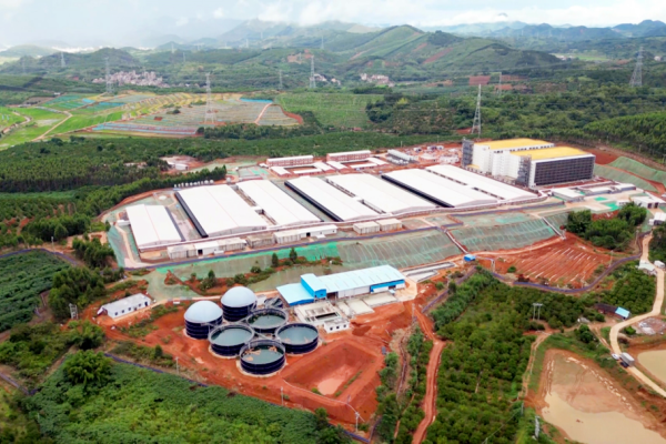 580万头出栏！德康集团再次冲击港股，西南巨头目标未来5年生猪销量过千万