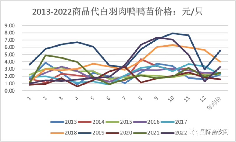 98%家禽从业者亏损 倒闭更是无数 白羽鸭游出三年“最低谷”