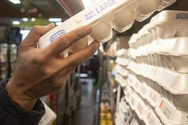 男子违约卖鸭被捕，江苏某饲料厂遭“非瘟投毒”？广东举报走私拟最高奖50万！