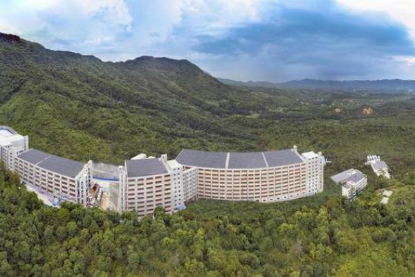 首窝15头仔猪出生！“国企”鼎和农牧永固楼房养殖基地正式开产