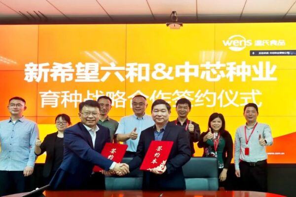 中芯种业与新希望联合育种，签署战略合作协议