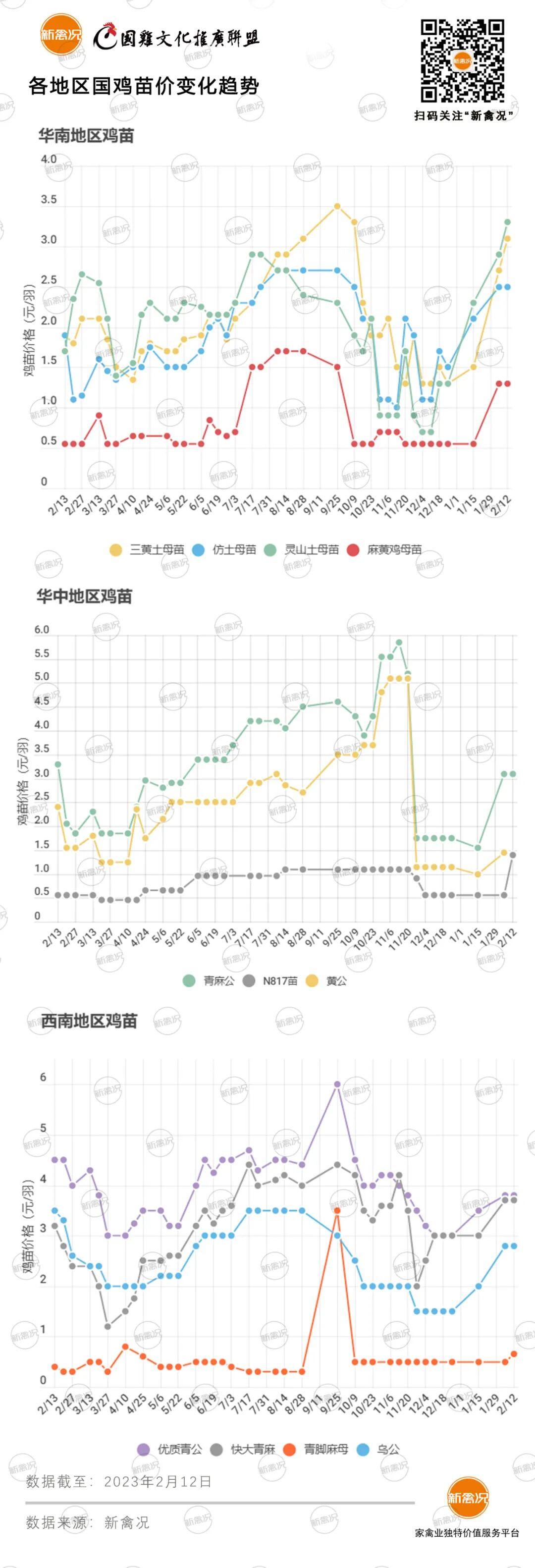 肉鸡积压、成鸡亏损…这个苗却涨了8.5毛！【苗价分析】