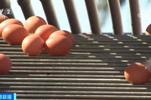 敲竹杠？1枚鸡蛋10元？！美国居民直言太荒谬