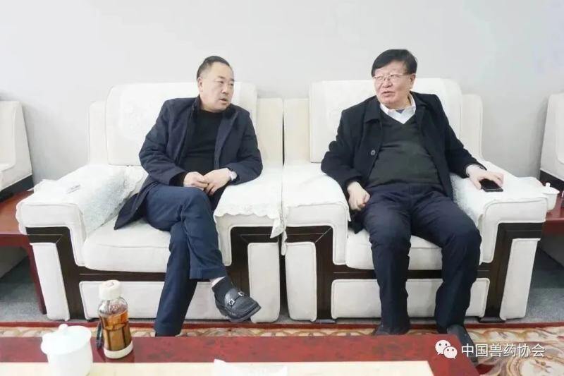 中国兽药协会会长才学鹏一行莅临华派生物调研指导