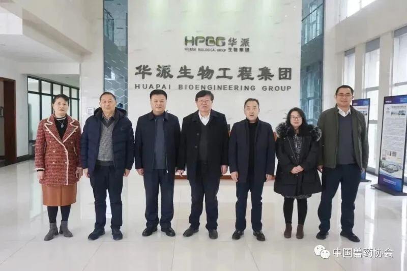 中国兽药协会会长才学鹏一行莅临华派生物调研指导