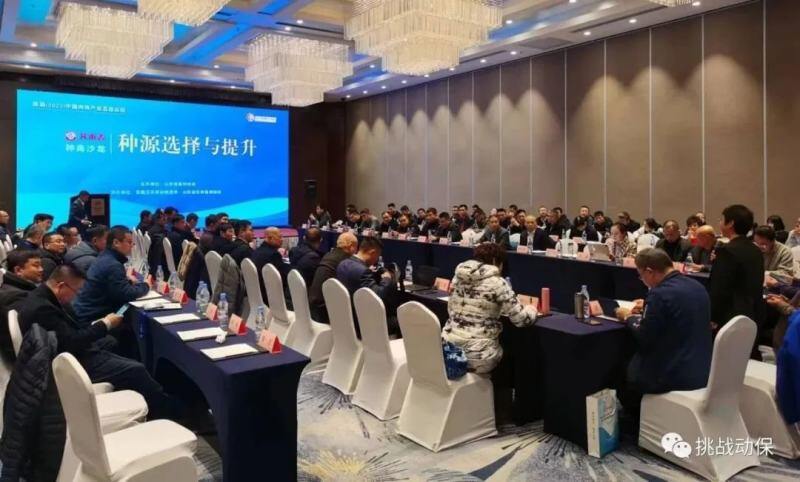 以创新为翼，助力肉鸡产业“跃升”——挑战动保携国家一类新兽药挑战沙米亮相首届中国肉鸡产业五岳论坛