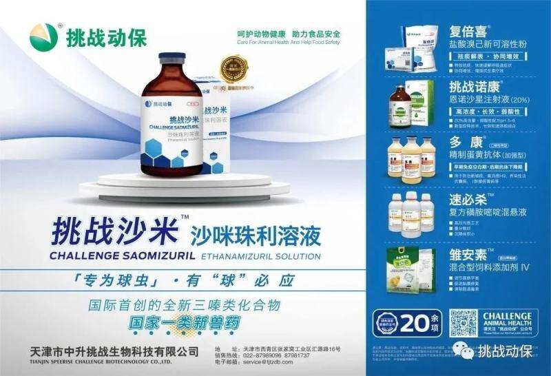 以创新为翼，助力肉鸡产业“跃升”——挑战动保携国家一类新兽药挑战沙米亮相首届中国肉鸡产业五岳论坛