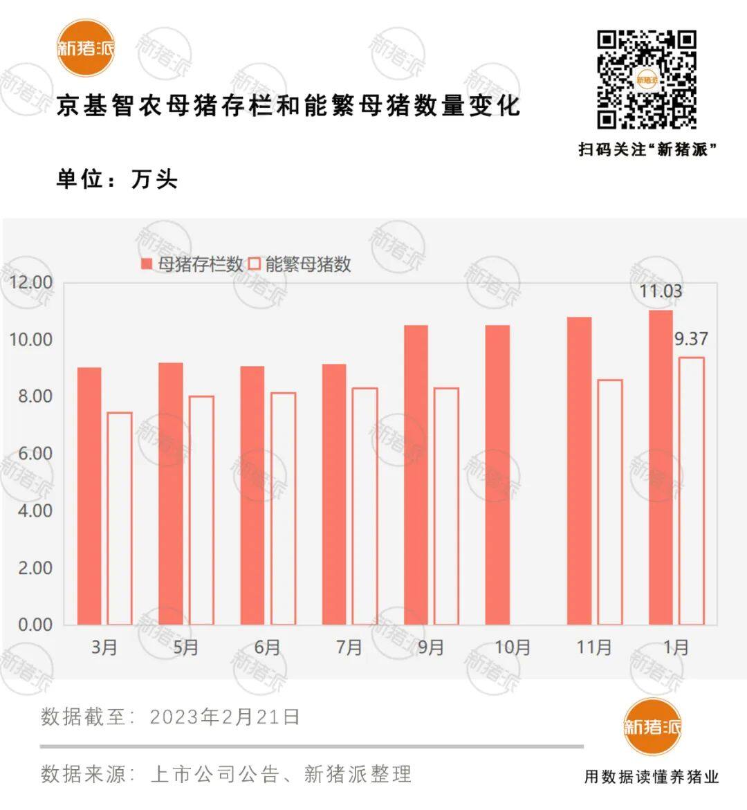 京基智农存栏母猪11万头！出栏量稳步提升成本有望下降