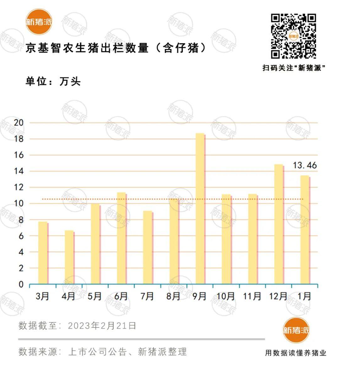 京基智农存栏母猪11万头！出栏量稳步提升成本有望下降