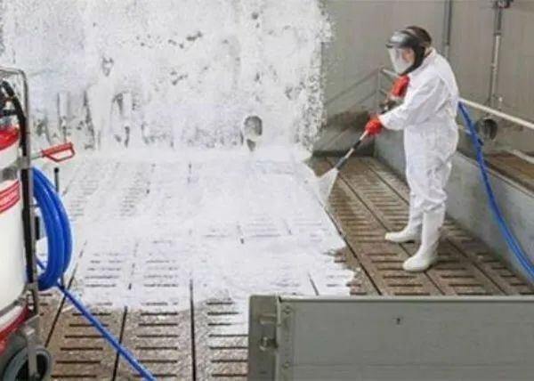 猪场新员工离职率高达100%,推行“猪场上下班”制度势在必行