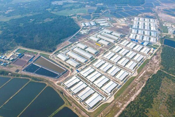 开放日喜迎公众参观，京基智农文昌固废处理中心，日处理能力200吨