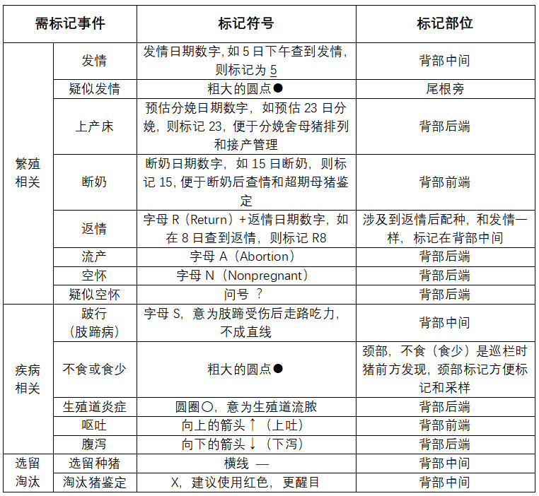猪场背部标记三原则：非必要不标；简单、统一；熟练掌握
