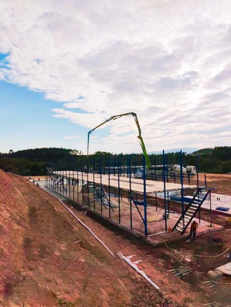 喜讯:南海种禽公司狮山牌南海黄鸡苗入选2022年“粤字号”农业品牌目录