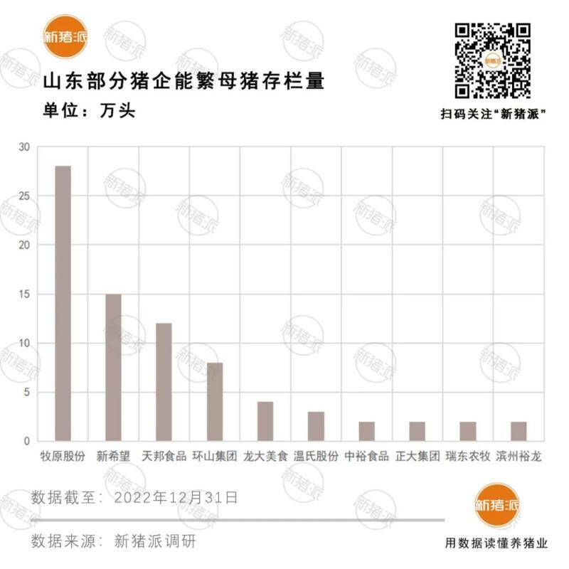 2022年出栏4528万头!山东10家万头能繁母猪企业:牧原28万头、新希望15万、天邦12万…